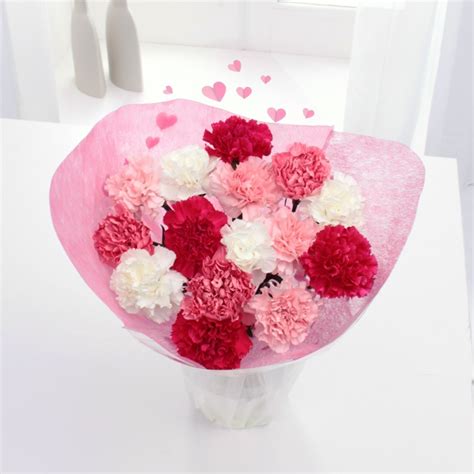 Carnation Bouquet