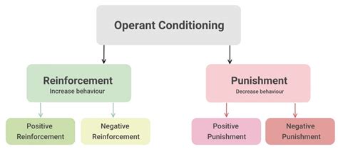 14 Best Examples Of Operant Conditioning - RankRed