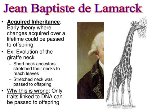 Jean Baptiste Lamarck Theory