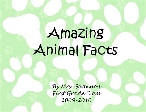 Amazing Animal Facts | Book 48853