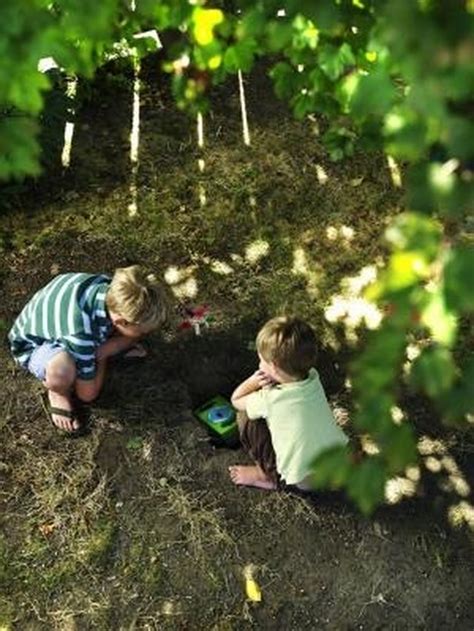 How to Grow Back Grass in Dead Patches | Hunker