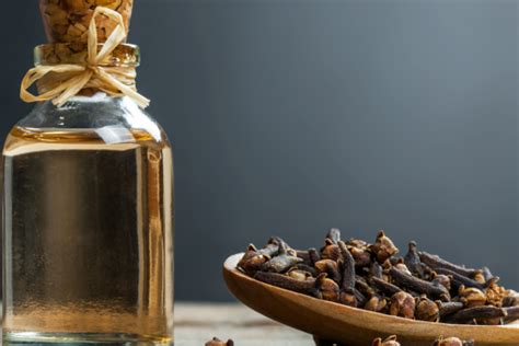 7 Magical Medicinal Benefits of Clove - Blog