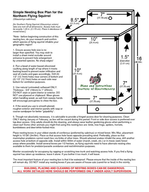 Squirrel House Plans: Building The Perfect Home For The Tree-Dwelling ...