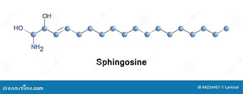 Sphingolipid Primario De La Pieza De La Esfingosina Ilustración del ...