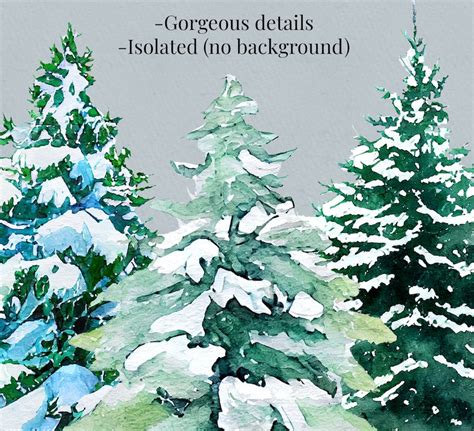 Winter Snow Pine Trees Woods Watercolor graphic Botanical - Etsy