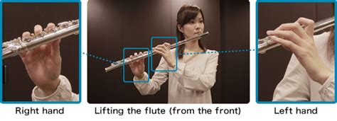 Flute Introduction– Golden Music