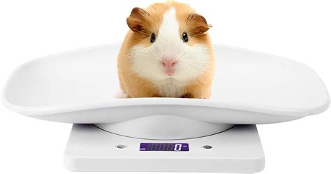 Pet Scale Small Animal Scale Digital Pet Scale Kitchen Scale Electronic ...