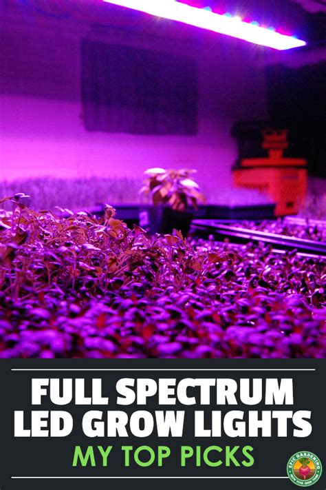 The Best Full Spectrum LED Grow Lights | Epic Gardening