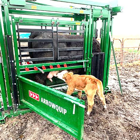 ARROWQUIP Cattle Handling Equipment