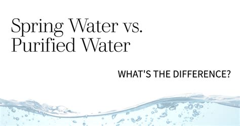 Spring Water vs. Purified Water: Which is Better?