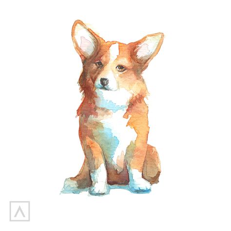 Corgi Drawing Step-By-Step Guide | ARTEZA