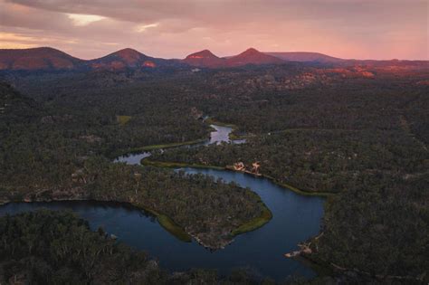 This Little-Known National Park In NSW Has One Of The World’s Oldest Trees Once Thought Extinct