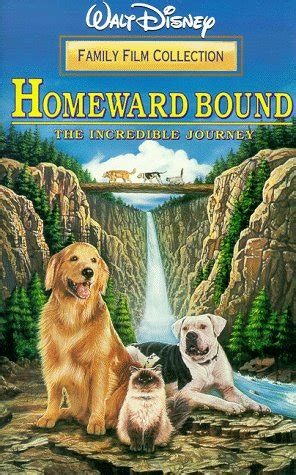 Homeward Bound [VHS]: 9786303929637 - AbeBooks