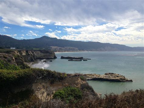 Ano Nuevo State Park - Pescadero Easy 4 mile beach hike with ...