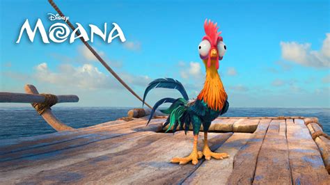 Download Hei Hei The Rooster Moana 4k Wallpaper | Wallpapers.com