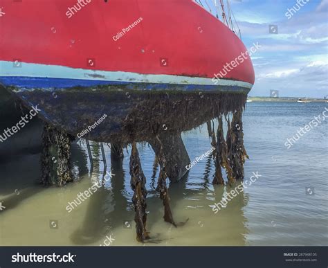 37 Anti fouling paint Images, Stock Photos & Vectors | Shutterstock