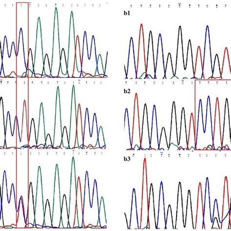 The electropherogram of the variants regions sequencing of the family.... | Download Scientific ...