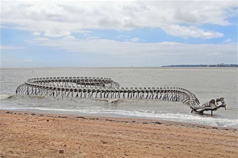 Serpent d’Océan | A Massive Metal Sea Serpent Skeleton on a Beach in France