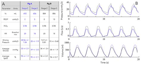 Differential tidal volume and PEEP during ventilation of two pigs on... | Download Scientific ...