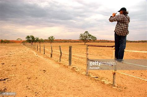 Paul Wild (Australian Scientist) Photos and Premium High Res Pictures - Getty Images