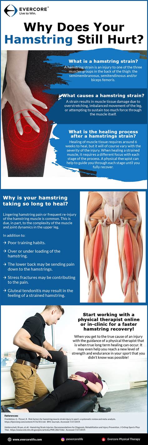 Why Does Your Hamstring Still Hurt? - Evercore - Move With a Strong ...