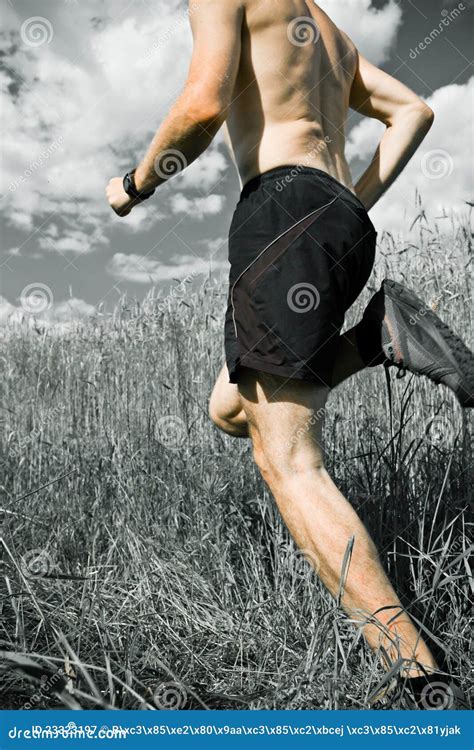 Man Running Cross Country on Trail Stock Image - Image of adventure, field: 23323197