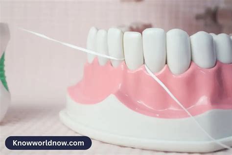 What Are The Different Types Of Dental Floss? - Know World Now