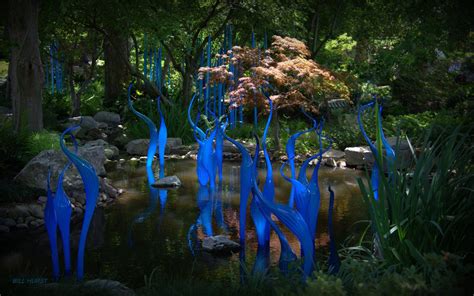 Dale Chihuly Exhibition at The Dallas Arboretum. | Dallas arboretum, Chihuly, Botanical gardens