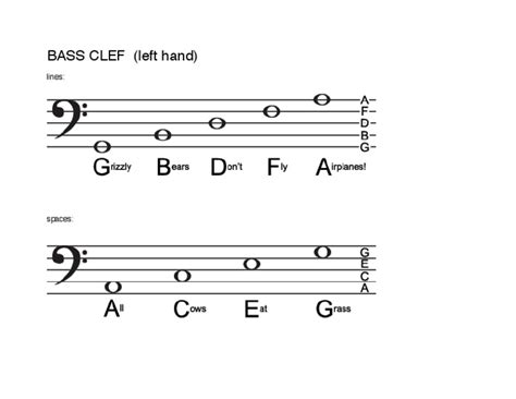 Bass Clef Mnemonics | PDF