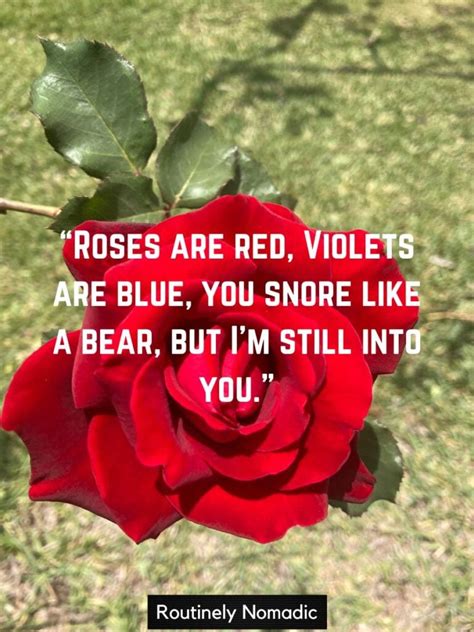 125 Best Roses are Red Violets are Blue Poems | Routinely Nomadic