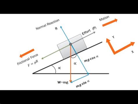 Free body diagrams - dikiberry