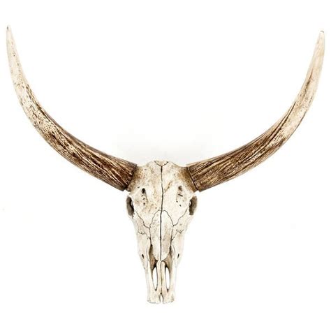 Bull Skull Wall Decor I ($135) liked on Polyvore featuring home, home decor and wall home decor ...