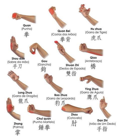 kungfu-taichi-martialarts: “ Wushu mãos Follow back ” | Martial arts styles, Wing chun martial ...