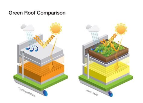 Green Roof Benefits - Intermountain Roofscapes | Green roof design, Green roof, Green roof benefits