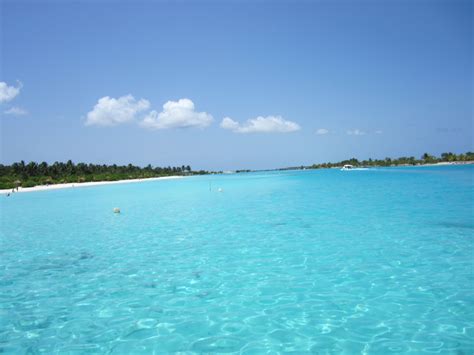 Crystal clear waters of the Maldives. | Crystal clear water, Maldives ...