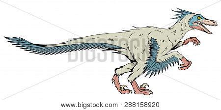 Velociraptor Feathers Vector & Photo (Free Trial) | Bigstock