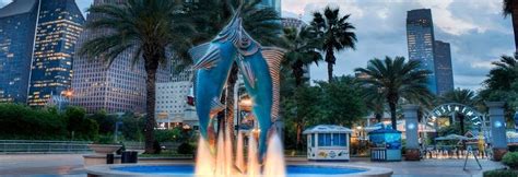 Aquarium Care: 13+ Downtown Aquarium-Houston Rides Pictures