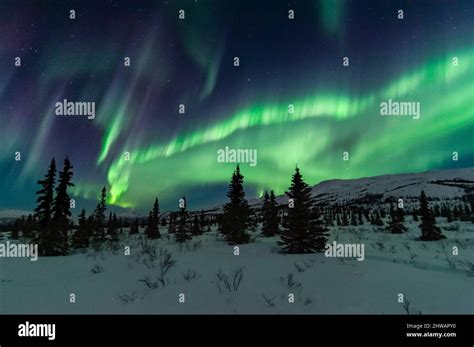 Aurora Borealis, Northern Lights, Night Sky, Alaska Stock Photo - Alamy