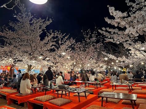 Best 3 Things to See and Do at Maruyama Park Kyoto