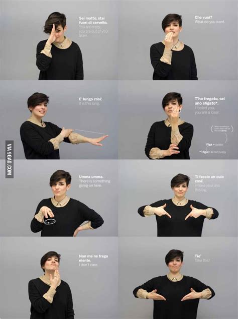 Italian gestures in one image - 9GAG