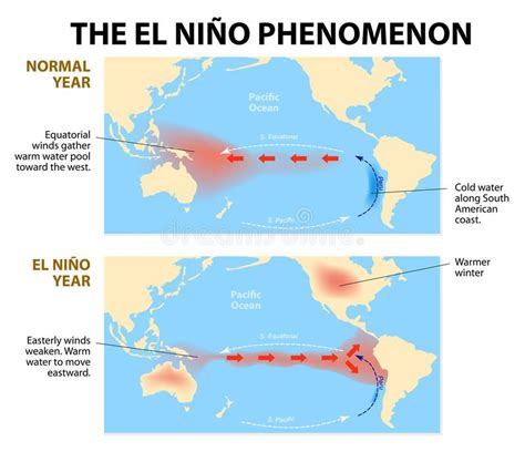 El nino phenomenon. Diagram shows the El Nino phenomenon. El Ni脙卤o is a ...