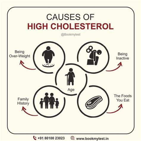 Causes of High Cholesterol