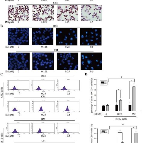 CM protected K562 cells and KU812 cells from IM-induced apoptosis. K562 ...