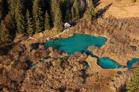 Visit And Explore The Zelenci Nature Reserve In Kranjska Gora, Slovenia