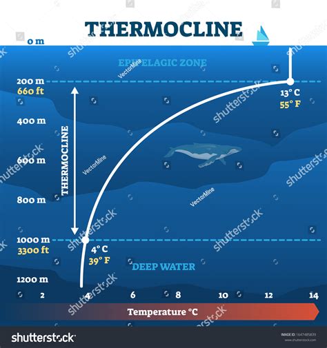 Thermocline Images, Stock Photos & Vectors | Shutterstock