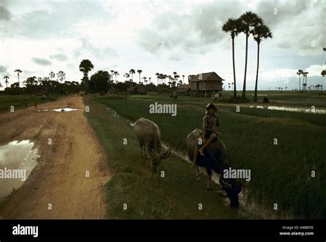 Prey veng province hi-res stock photography and images - Alamy