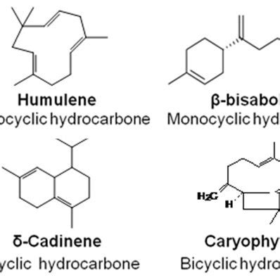 Examples of some terpenoids compounds found in essential oils of plants ...