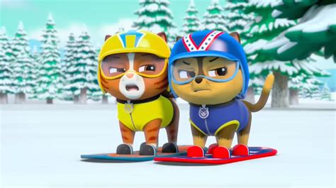 Image - PAW Patrol Pups Save a Snowboard Competition Scene 2.png | PAW ...