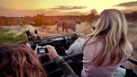 Best Tips for African Safari Photos - G Adventures