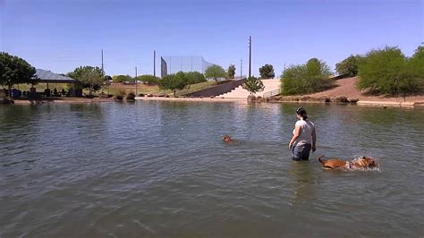 Cosmo Dog Park - Gilbert, AZ - YouTube